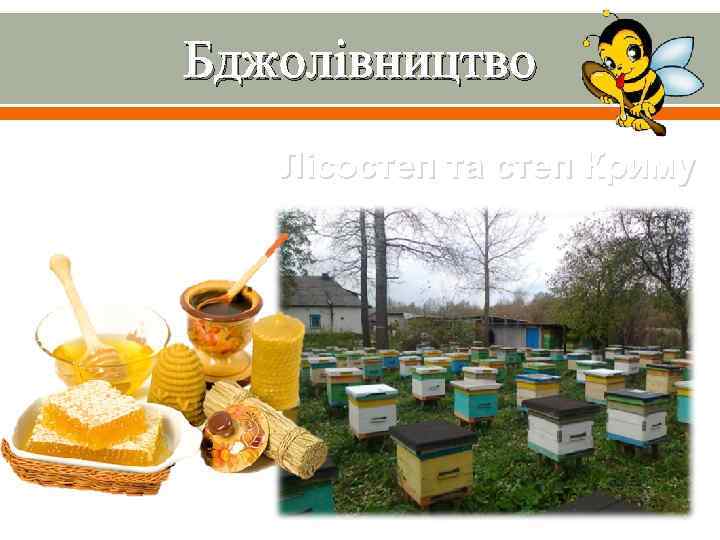 Бджолівництво Лісостеп та степ Криму 