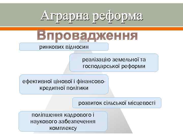 Аграрна реформа Впровадження ринкових відносин реалізацію земельної та господарської реформи ефективної цінової і фінансовокредитної