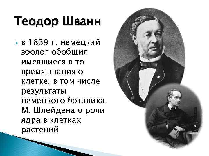 Теодор Шванн в 1839 г. немецкий зоолог обобщил имевшиеся в то время знания о