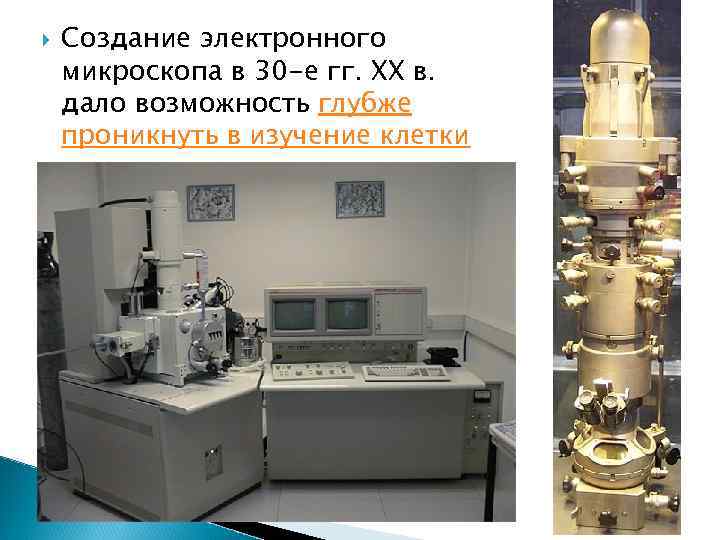  Создание электронного микроскопа в 30 -е гг. XX в. дало возможность глубже проникнуть