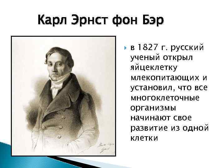 Карл Эрнст фон Бэр в 1827 г. русский ученый открыл яйцеклетку млекопитающих и установил,