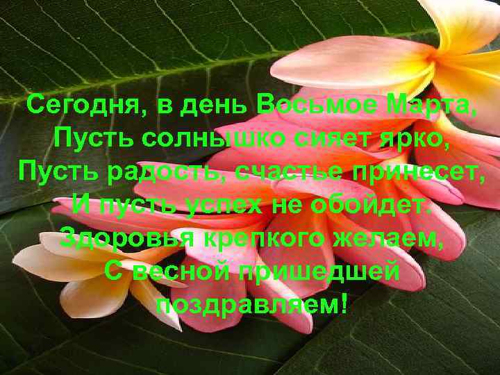 Сегодня, в день Восьмое Марта, Пусть солнышко сияет ярко, Пусть радость, счастье принесет, И
