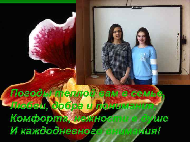 Погоды теплой вам в семье, Любви, добра и понимания, Комфорта, нежности в душе И