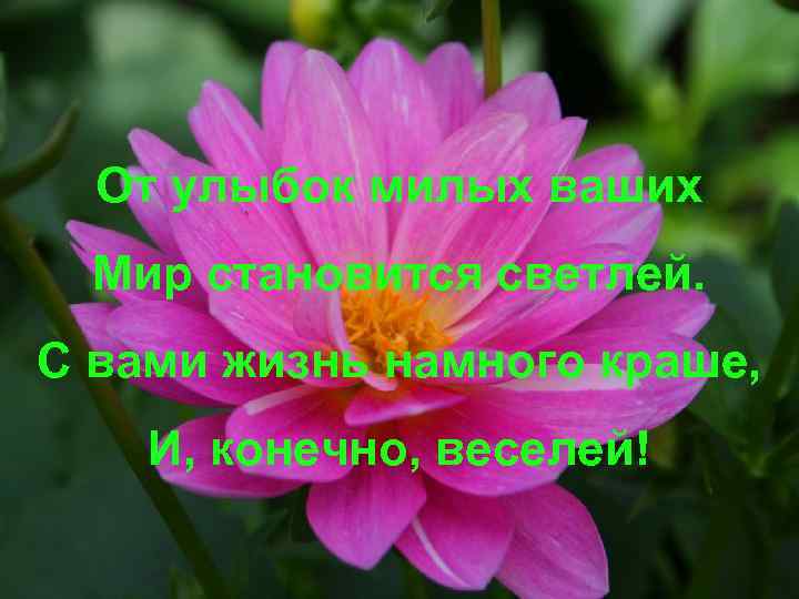 От улыбок милых ваших Мир становится светлей. С вами жизнь намного краше, И, конечно,