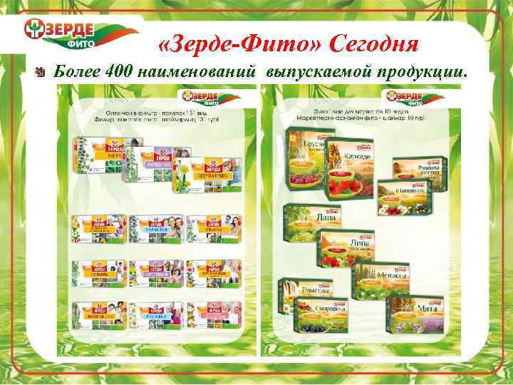  «Зерде-Фито» Сегодня Более 400 наименований выпускаемой продукции. 