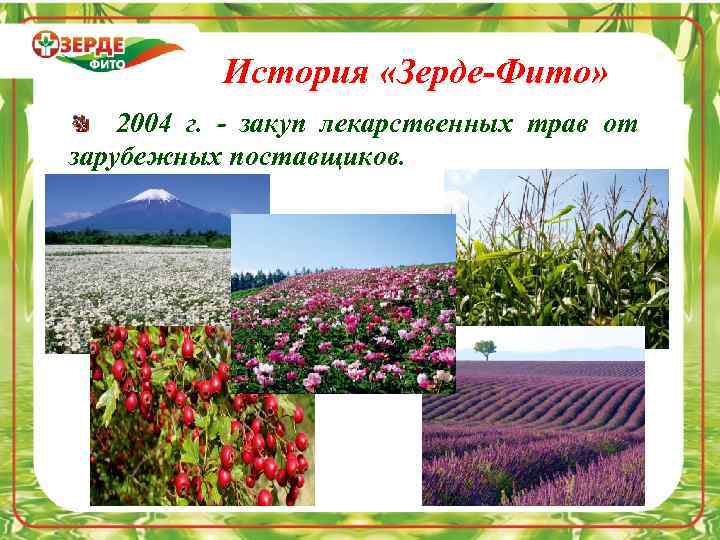 История «Зерде-Фито» 2004 г. - закуп лекарственных трав от зарубежных поставщиков. 