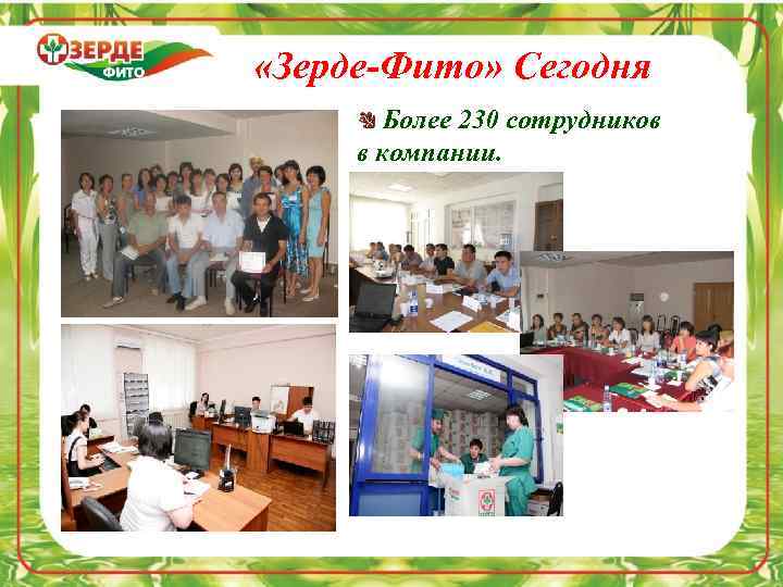  «Зерде-Фито» Сегодня Более 230 сотрудников в компании. 