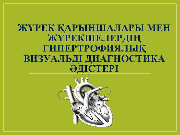 ЖҮРЕК ҚАРЫНШАЛАРЫ МЕН ЖҮРЕКШЕЛЕРДІҢ ГИПЕРТРОФИЯЛЫҚ ВИЗУАЛЬДІ ДИАГНОСТИКА ӘДІСТЕРІ 