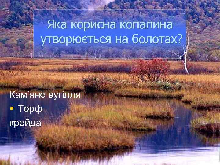 Яка корисна копалина утворюється на болотах? Кам’яне вугілля § Торф крейда 