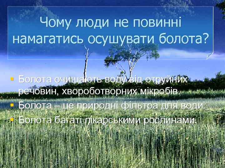 Чому люди не повинні намагатись осушувати болота? § Болота очищають воду від отруйних речовин,