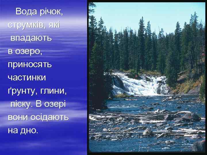 Вода річок, струмків, які впадають в озеро, приносять частинки ґрунту, глини, піску. В озері