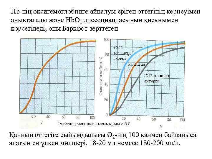 Hb-нің оксигемоглобинге айналуы еріген оттегінің кернеуімен анықталады және Hb. О 2 диссоциациасының қисығымен көрсетіледі,