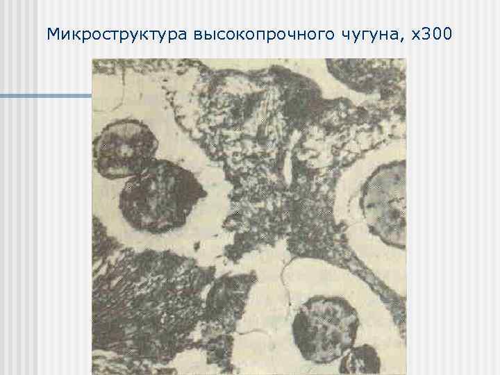 Микроструктура высокопрочного чугуна, х300 