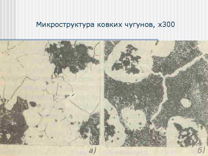 Микроструктура ковких чугунов, х300 