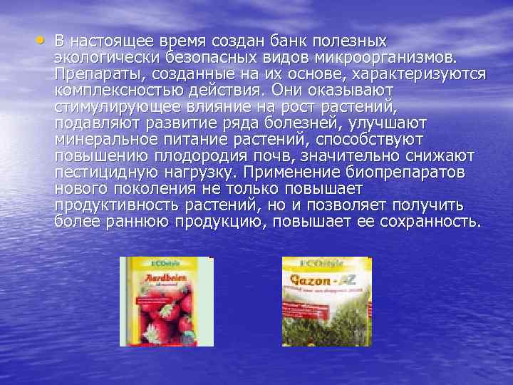  • В настоящее время создан банк полезных экологически безопасных видов микроорганизмов. Препараты, созданные