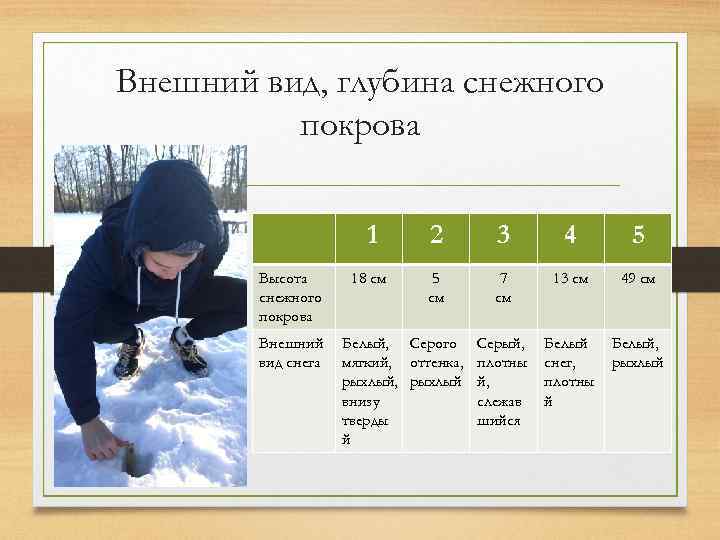 Внешний вид, глубина снежного покрова 1 Высота снежного покрова Внешний вид снега 2 3