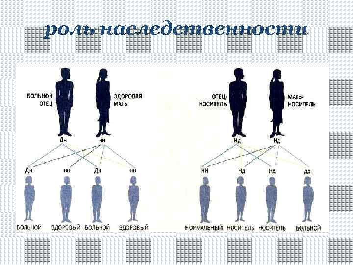 роль наследственности 