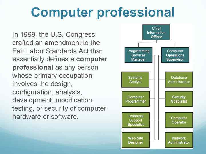 Computer professional In 1999, the U. S. Congress crafted an amendment to the Fair