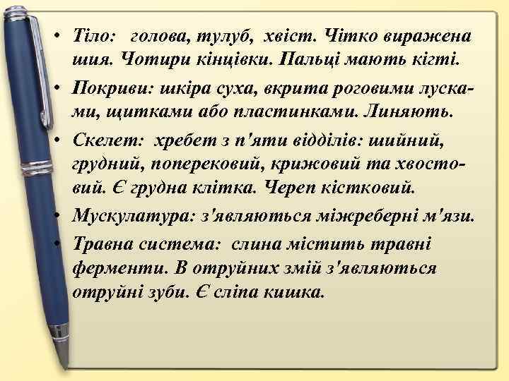  • Тіло: голова, тулуб, хвіст. Чітко виражена шия. Чотири кінцівки. Пальці мають кігті.