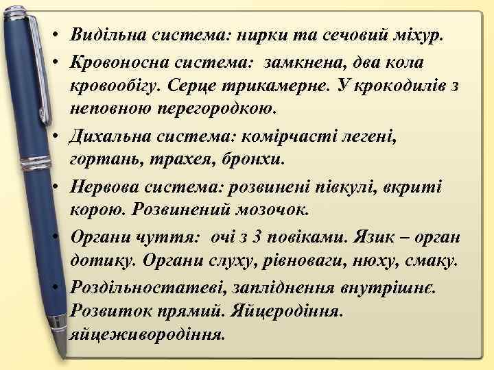  • Видільна система: нирки та сечовий міхур. • Кровоносна система: замкнена, два кола