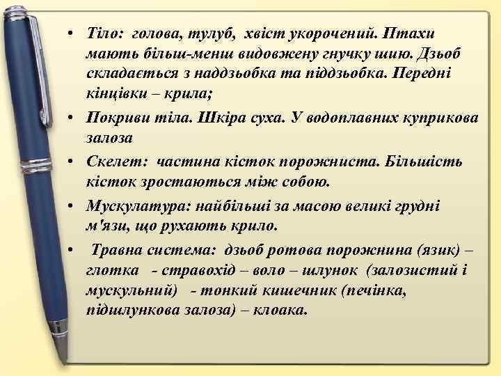  • Тіло: голова, тулуб, хвіст укорочений. Птахи мають більш-менш видовжену гнучку шию. Дзьоб