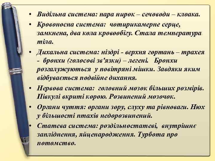  • Видільна система: пара нирок – сечоводи – клоака. • Кровоносна система: чотирикамерне