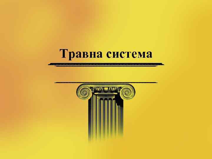 Травна система 