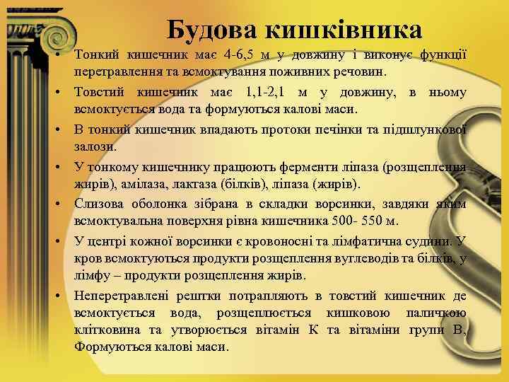Будова кишківника • Тонкий кишечник має 4 -6, 5 м у довжину і виконує