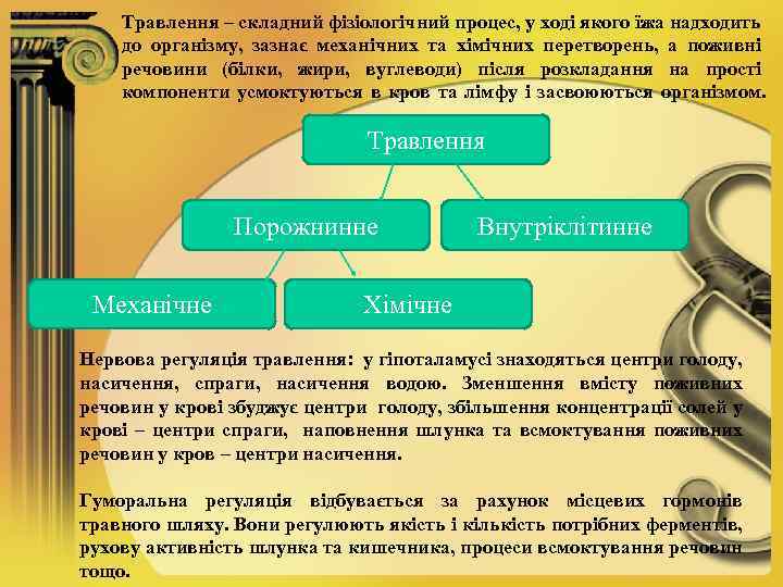 Травлення – складний фізіологічний процес, у ході якого їжа надходить до організму, зазнає механічних