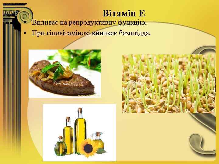 Вітамін Е • Впливає на репродуктивну функцію. • При гіповітамінозі виникає безпліддя. 