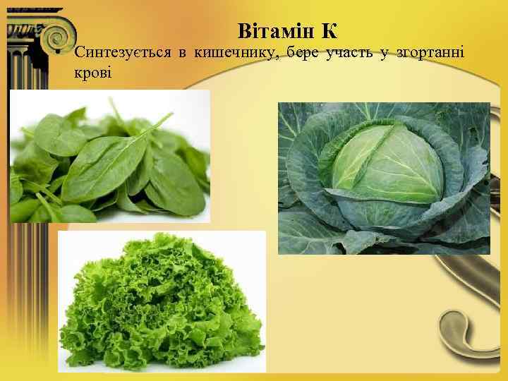 Вітамін К • Синтезується в кишечнику, бере участь у згортанні крові 