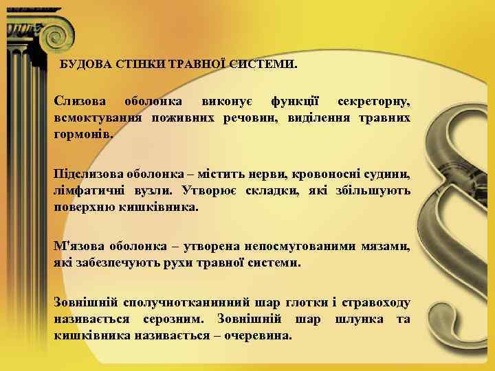 БУДОВА СТІНКИ ТРАВНОЇ СИСТЕМИ. Слизова оболонка виконує функції секреторну, всмоктування поживних речовин, виділення травних