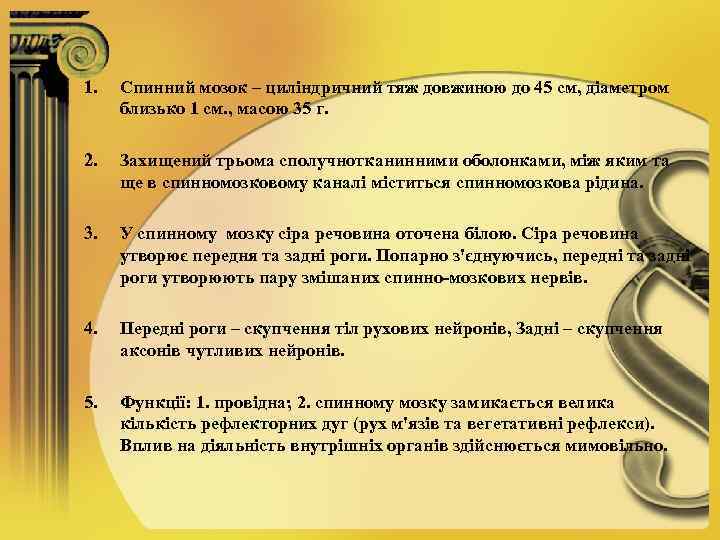 1. Спинний мозок – циліндричний тяж довжиною до 45 см, діаметром близько 1 см.