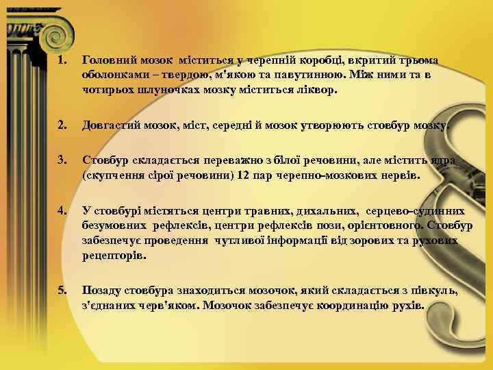 1. Головний мозок міститься у черепній коробці, вкритий трьома оболонками – твердою, м'якою та