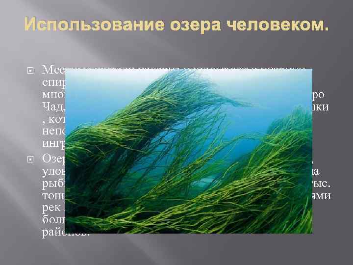 Использование озера человеком. Местные жители издавна используют в питании спирулину, традиционно собирая её из