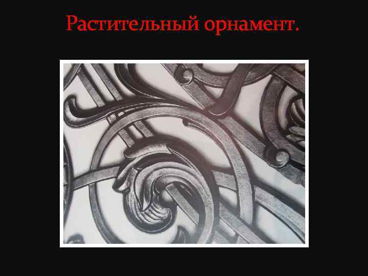 Растительный орнамент. 