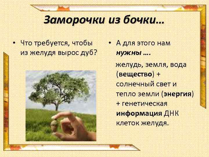 Заморочки из бочки… • Что требуется, чтобы из желудя вырос дуб? • А для