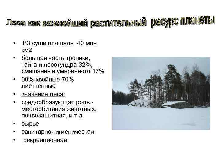  • 13 суши площадь 40 млн км 2 • большая часть тропики, тайга