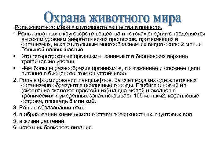 . Роль животного мира в круговороте вещества в природе. 1. Роль животных в круговороте