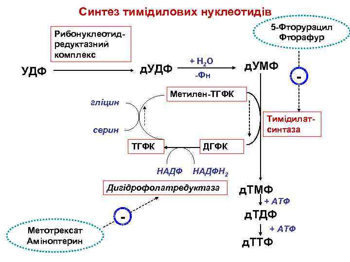 Cинтез тимідилових нуклеотидів 5 -Фторурацил Фторафур Рибонуклеотидредуктазний комплекс д. УДФ + Н 2 О