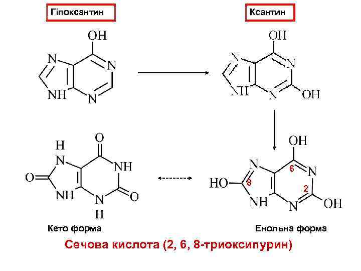 Гіпоксантин Ксантин 6 8 Кето форма 2 Енольна форма Сечова кислота (2, 6, 8