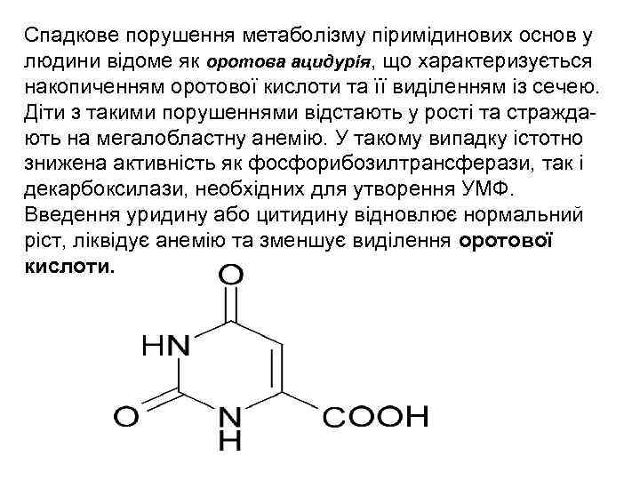 Спадкове порушення метаболізму піримідинових основ у людини відоме як оротова ацидурія, що характеризується накопиченням