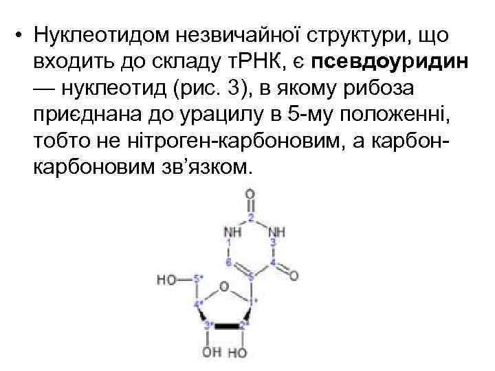  • Нуклеотидом незвичайної структури, що входить до складу т. РНК, є псевдоуридин —