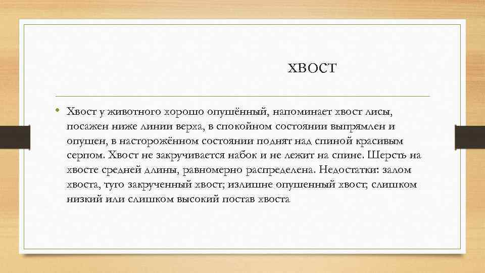 хвост • Хвост у животного хорошо опушённый, напоминает хвост лисы, посажен ниже линии верха,