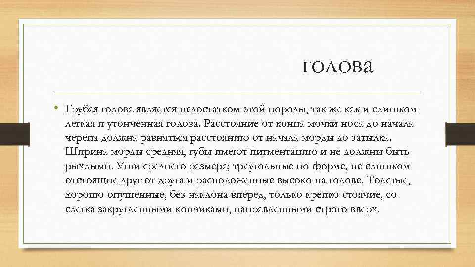 голова • Грубая голова является недостатком этой породы, так же как и слишком легкая