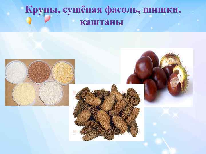 Крупы, сушёная фасоль, шишки, каштаны 