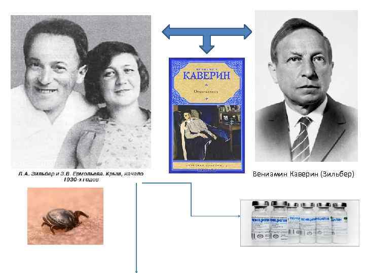  Вениамин Каверин (Зильбер) 