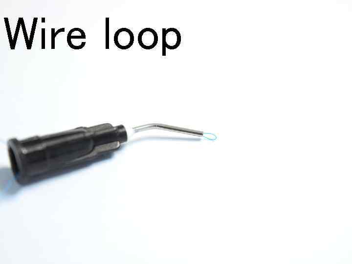 Wire loop 