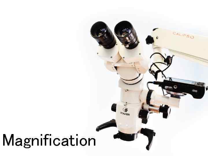 Magnification 