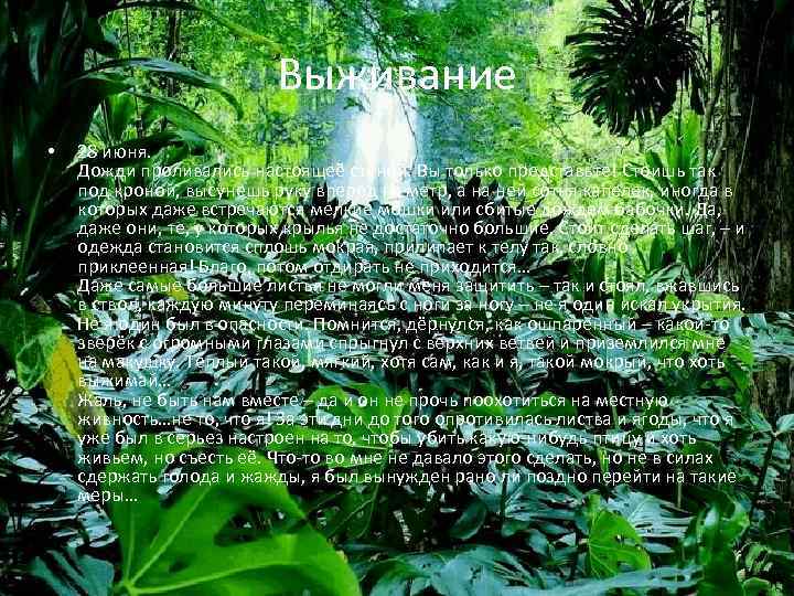 Выживание • 28 июня. Дожди проливались настоящеё стеной. Вы только представьте! Стоишь так под